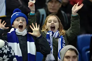 Bournemouth - 01-01-2014 Prints: Brighton & Hove Albion vs. Bournemouth: Home Match (January 1, 2014)
