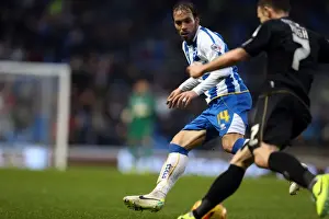 Bournemouth - 01-01-2014 Prints: Brighton & Hove Albion vs. Bournemouth: Home Match (January 1, 2014)