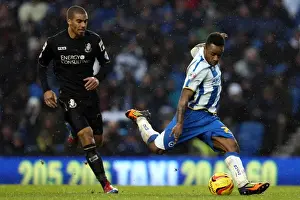 Bournemouth - 01-01-2014 Prints: Brighton & Hove Albion vs. Bournemouth: Home Match (January 1, 2014)