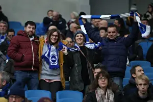 Brighton and Hove Albion vs. Bournemouth: Premier League Battle at American Express Community Stadium (01.01.18)