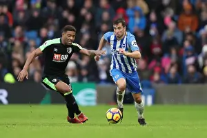 Brighton and Hove Albion vs Bournemouth: Premier League Clash at American Express Community Stadium (01.01.2018)