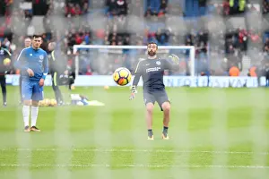 Brighton and Hove Albion vs Bournemouth: Premier League Clash at American Express Community Stadium (01.01.18)