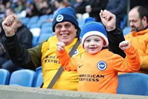 Brighton and Hove Albion vs Bournemouth: Premier League Clash at American Express Community Stadium (01.01.18)