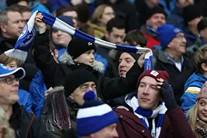Brighton and Hove Albion vs Bournemouth: Premier League Clash at American Express Community Stadium (01.01.18)