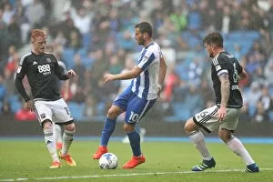 Images Dated 10th September 2016: Brighton and Hove Albion vs. Brentford: EFL Sky Bet Championship Showdown at American Express