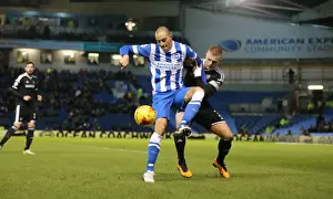 Brighton and Hove Albion vs. Brentford: A Battle in the Sky Bet Championship (05/02/2016)
