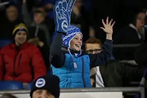 Brighton and Hove Albion vs. Brentford: A Fierce Championship Clash (05/02/2016)