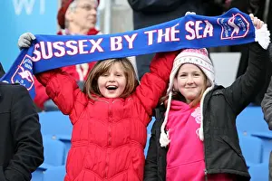 Bristol City - 16-01-2012 Prints: Brighton & Hove Albion vs. Bristol City (16-01-2012): A Glance at the 2011-12 Home Season