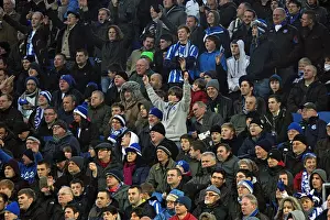 Brighton & Hove Albion vs. Bristol City (16-01-2012) - A Glimpse into the 2011-12 Home Season