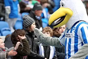 Bristol City - 16-01-2012 Prints: Brighton & Hove Albion vs. Bristol City (2011-12): A Home Game Review - January 16, 2012