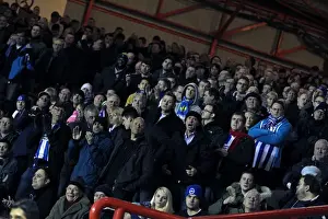 Bristol City - 05-03-2013 Prints: Brighton & Hove Albion vs. Bristol City: 2012-13 Away Game Highlights (05-03-2013)