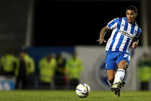 Bristol City - 27-11-2012 Prints: Brighton & Hove Albion vs. Bristol City: 2012-13 Home Game