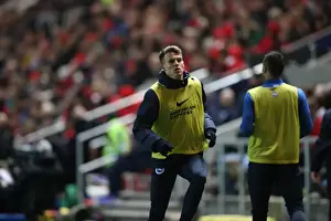 Brighton and Hove Albion vs. Bristol City: A Championship Battle at Ashton Gate Stadium (November 2016)