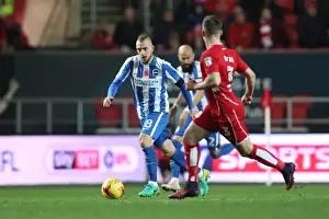 Brighton and Hove Albion vs. Bristol City: Championship Showdown at Ashton Gate Stadium (Nov 2016)