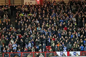 Brighton and Hove Albion vs. Bristol City: Championship Showdown at Ashton Gate Stadium (November 2016)