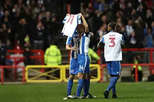 Brighton and Hove Albion vs. Bristol City: Championship Showdown at Ashton Gate Stadium (November 2016)