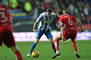 Brighton and Hove Albion vs. Bristol City: Championship Showdown at Ashton Gate Stadium (November 2016)