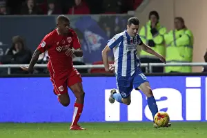 Brighton and Hove Albion vs. Bristol City: Championship Showdown at Ashton Gate Stadium (November 2016)