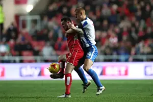 Brighton and Hove Albion vs. Bristol City: Championship Showdown at Ashton Gate Stadium (November 2016)