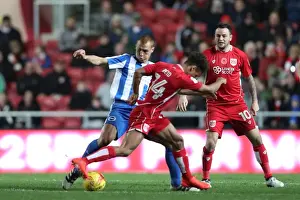 Brighton and Hove Albion vs. Bristol City: Championship Showdown at Ashton Gate Stadium (November 2016)