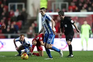 Brighton and Hove Albion vs. Bristol City: Championship Showdown at Ashton Gate Stadium (November 2016)