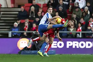 Brighton and Hove Albion vs. Bristol City: Championship Showdown at Ashton Gate Stadium (November 2016)