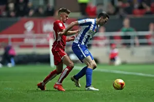 Brighton and Hove Albion vs. Bristol City: Championship Showdown at Ashton Gate Stadium (November 2016)