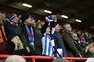Brighton and Hove Albion vs. Bristol City: Championship Showdown at Ashton Gate Stadium (November 2016)