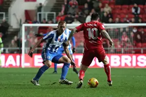 Brighton and Hove Albion vs. Bristol City: Championship Showdown at Ashton Gate Stadium (November 2016)