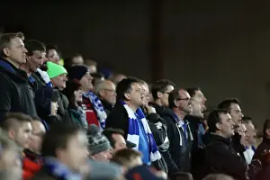 Brighton and Hove Albion vs. Bristol City: Championship Showdown at Ashton Gate Stadium (November 2016)