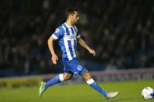 Brighton & Hove Albion vs. Bristol City: A Fight in the Sky Bet Championship (2015.10.20)