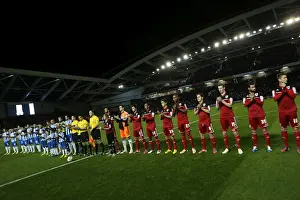 Bristol City - 27-11-2012 Prints: Brighton & Hove Albion vs. Bristol City: A Home Battle (2012-13 Season)