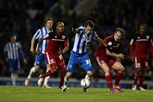 Bristol City - 27-11-2012 Prints: Brighton & Hove Albion vs. Bristol City: Home Battle - 27-11-2012 (Season 2012-13)