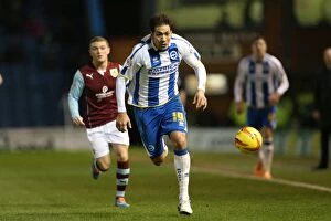Images Dated 28th January 2014: Brighton & Hove Albion vs. Burnley - 2013-14 Away Game (28-01-2014)