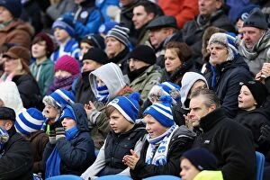 Images Dated 23rd February 2013: Brighton & Hove Albion vs. Burnley (23-02-2013): A Glimpse into the 2012-13 Home Season