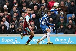 Images Dated 23rd February 2013: Brighton & Hove Albion vs. Burnley (23-02-2013) - A Look Back at the 2012-13 Home Season