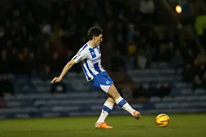 Brighton & Hove Albion vs. Burnley - 28-01-2014: Away Game, 2013-14 Season