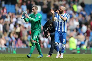 Brighton and Hove Albion vs. Burnley: A Championship Showdown (02APR16)
