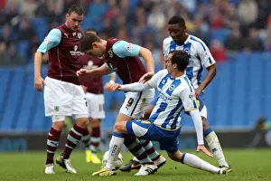 Burnley - 24-08-2013 Prints: Brighton & Hove Albion vs Burnley: Home Game - August 24, 2013