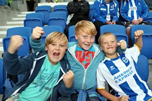 Burnley - 24-08-2013 Prints: Brighton & Hove Albion vs. Burnley: Home Game - August 24, 2013