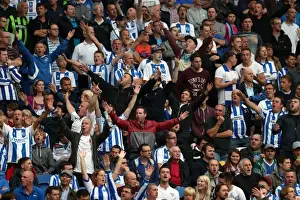 Burnley - 24-08-2013 Prints: Brighton & Hove Albion vs Burnley: Home Game - August 24, 2013