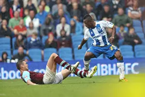 Burnley - 24-08-2013 Prints: Brighton & Hove Albion vs. Burnley: Home Game - August 24, 2013