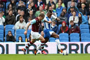 Burnley - 24-08-2013 Prints: Brighton & Hove Albion vs. Burnley: Home Game - August 24, 2013