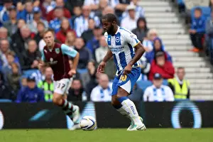 Brighton & Hove Albion vs. Burnley: Home Game - August 24, 2013