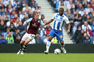 Burnley - 24-08-2013 Prints: Brighton & Hove Albion vs. Burnley: Home Game - August 24, 2013