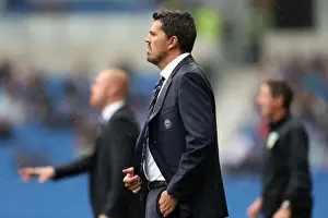Burnley - 24-08-2013 Prints: Brighton & Hove Albion vs. Burnley: Home Game - August 24, 2013