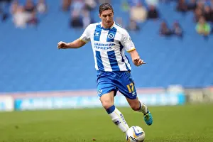 Burnley - 24-08-2013 Prints: Brighton & Hove Albion vs. Burnley: Home Game - August 24, 2013