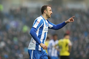 Brighton and Hove Albion vs Burton Albion: EFL Sky Bet Championship Showdown at American Express Community Stadium (February 11, 2017)