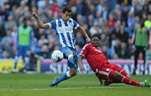 Images Dated 3rd October 2015: Brighton & Hove Albion vs. Cardiff City: Sky Bet Championship Showdown at American Express