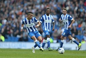 Images Dated 3rd October 2015: Brighton and Hove Albion vs. Cardiff City: Sky Bet Championship Showdown, October 2015